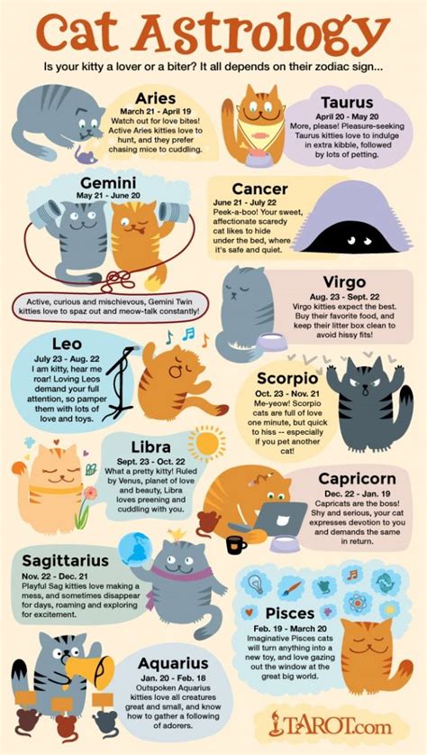 Cat Astrology: Cat Traits by Zodiac Sign | Crazy cats, Cat signs, Cat care