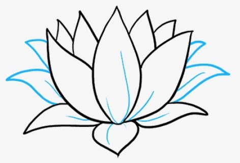 Lily Pad Outline - Easy Spring Flower Drawing , Free Transparent Clipart - ClipartKey