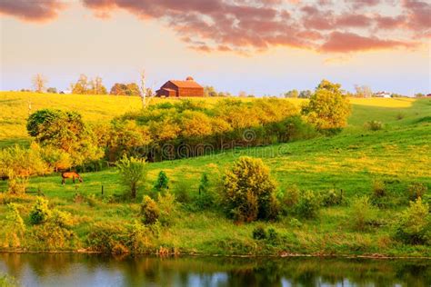 Farm landscape stock photo. Image of grazing, trees, farmland - 28983506