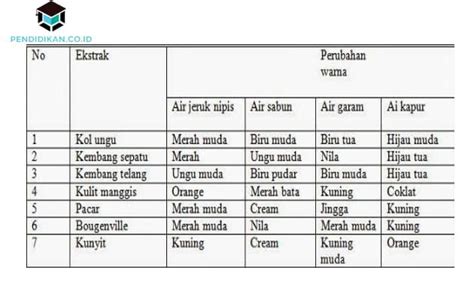 Contoh Indikator Alami Asam Basa - 57+ Koleksi Gambar