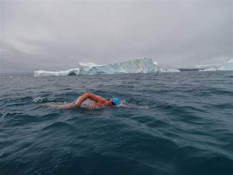 How do sharks help keep our ocean ecosystems healthy? | World Economic ...