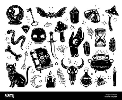 Witchcraft set. Drawn magic crystals, witch ball and black cat. Human ...