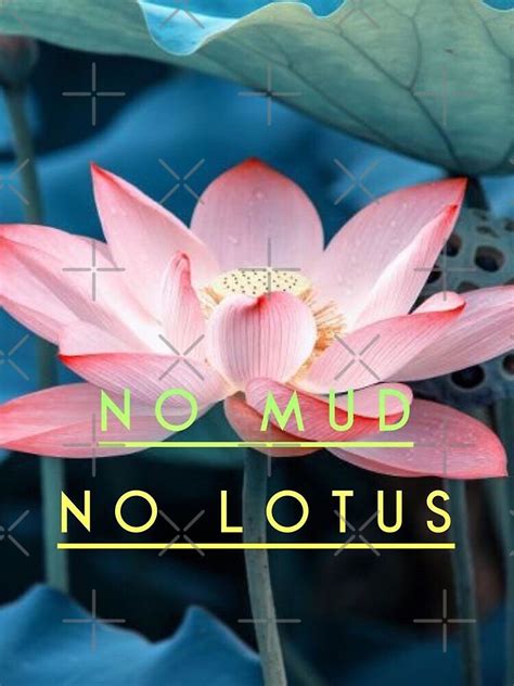 "No Mud No Lotus" Poster for Sale by NoMudNoLotus | Redbubble