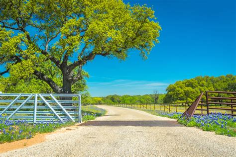 9 Best Texas Scenic Drives for Enjoying the Lone Star State Countryside