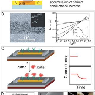 (PDF) Nanowire Nanosensors