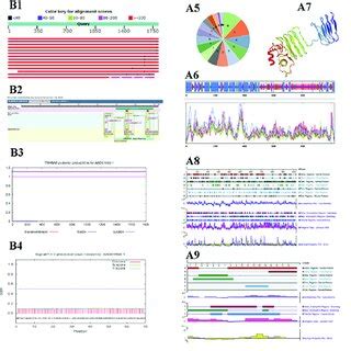 Bioinformatics analysis tools. | Download Scientific Diagram