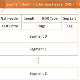 Segment routing header extension for IPv6. | Download Scientific Diagram