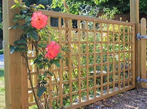 Metal Trellis | Metal Garden Trellis | Jacksons Fencing