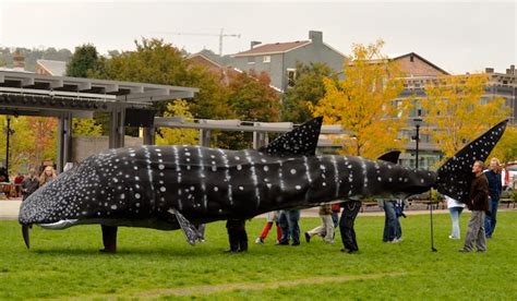 Whale Shark Puppet 1 | Charles Barilleaux | Flickr