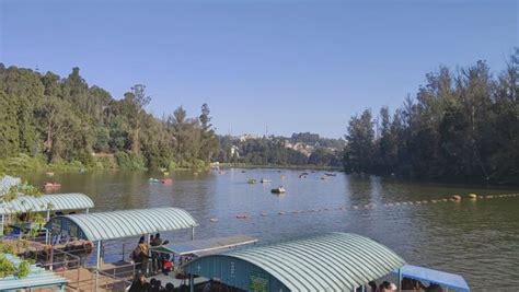 Ooty Lake: A Complete Guide to the Scenic Artificial Lake in the Queen ...