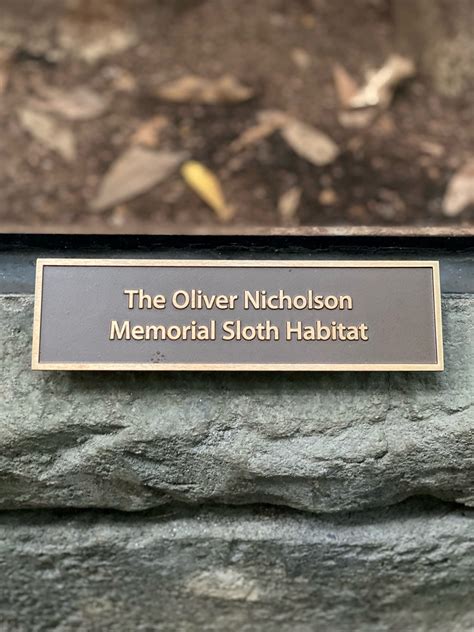 Oliver Nicholson to be Memorialized in Sloth Habitat - Cincinnati Zoo ...