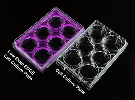 96 Well Cell Culture Plate, Flat, TC, Sterile, Individually plastic wrapped, 1/pk, 100/cs ...