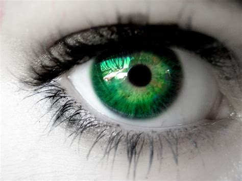 Are Green Eyes Really An Attractive Trait? | SiOWfa16: Science in Our World: Certainty and ...