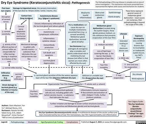 Dry Eye Syndrome: Pathogenesis | Calgary Guide