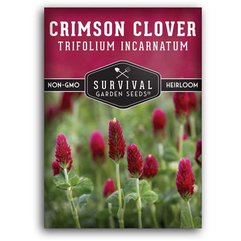 Clover Seeds - SurvivalGardenSeeds