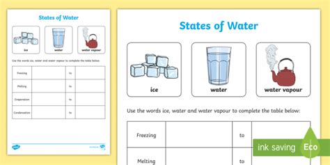 States of Water Activity (Teacher-Made)