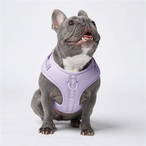 Ultra-Soft Activewear Harness - Lilac – SPARK PAWS