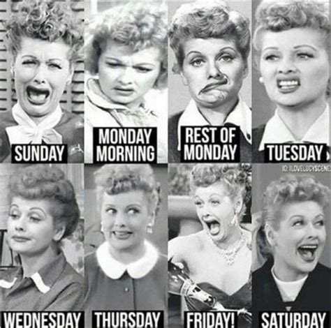 I Love Lucy Days of the Week - Funny - Faxo