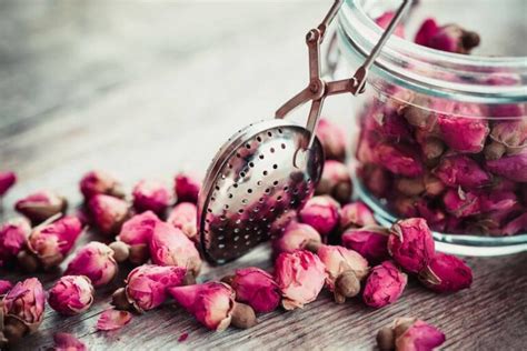 Rose Tea: What Is It And How To Brew It – Tea Backyard