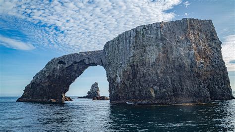 The best National Parks in California: wild adventures on sea and land ...