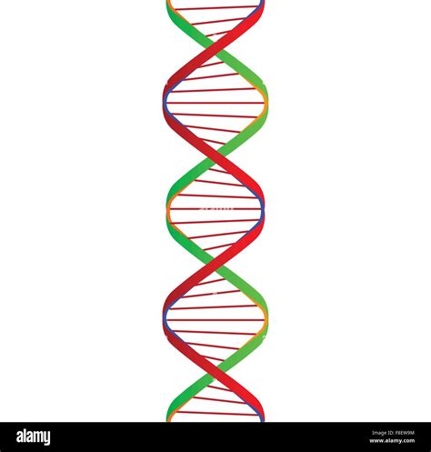 Dna strands pattern hi-res stock photography and images - Alamy