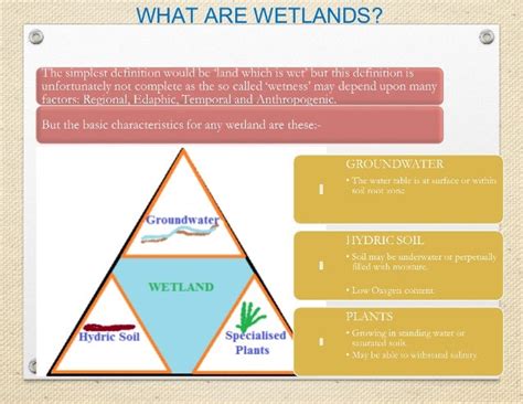 Wetlands-classification, Intertidal zone-study in flora and Fauna