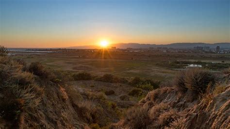 Environmental Groups Torn Over Fight for Ballona Wetlands