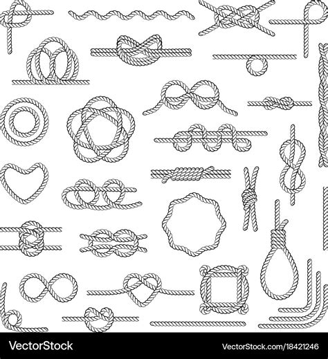 Nautical rope knots Royalty Free Vector Image - VectorStock