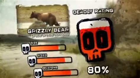 Grizzly Bear | Deadly 60 Wiki | Fandom