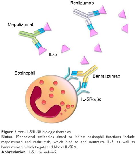 Diagnosis and treatment of severe eosinophilic asthma - Thoracic and ...