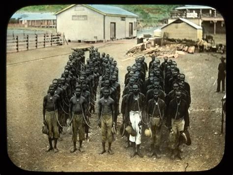 Rottnest Island: Black prison - ABC Radio National | Western australia, Kimberley, Mother son