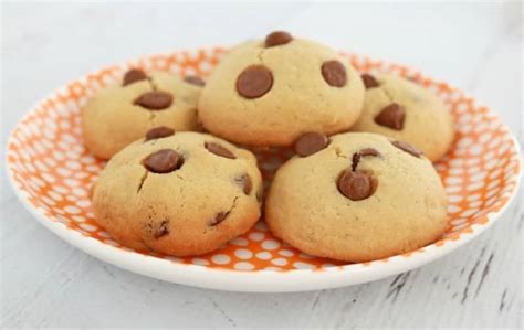 Chocolate Chip Biscuits - Thermobliss