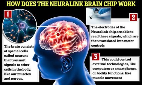 How does Elon Musk's Neuralink brain chip actually work? | Daily Mail Online