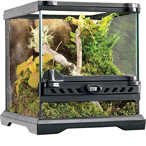 Top 5 Best Snake Terrariums [December 2024 Review] - ReptileProfy