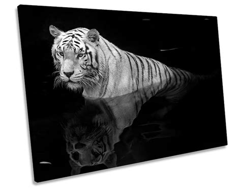 White Tiger Wildlife Black CANVAS WALL ART Framed Print - Etsy