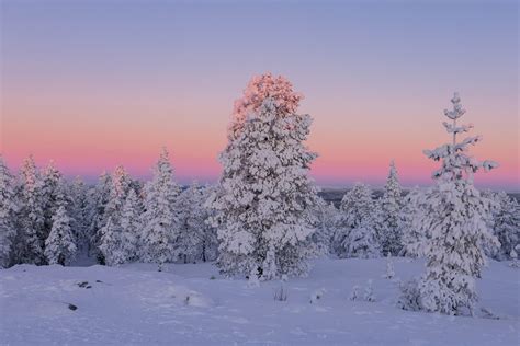 10 Things to do in Rovaniemi in Winter - 2022 | Travel to Lapland