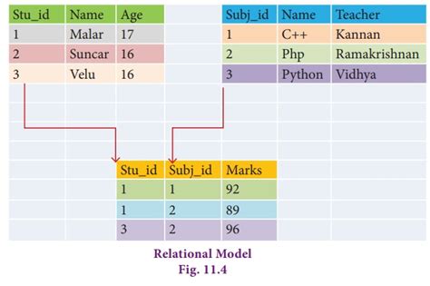 Data Model - Types, DBMS Users