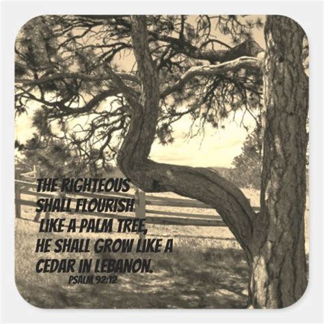 Cedars of Lebanon Bible Verse Psalm 91:12 Square Sticker | Zazzle.com