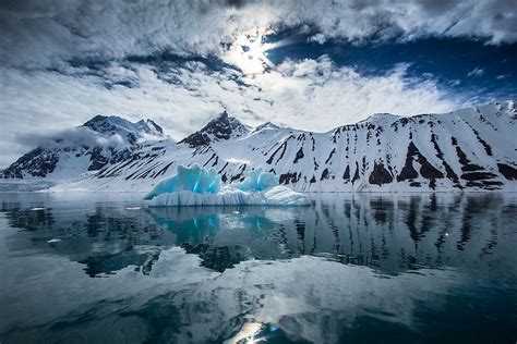 Plant Life in Antarctica - WorldAtlas