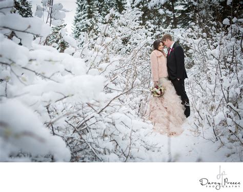 Edmonton Winter Wedding - Darcy Preece Photography