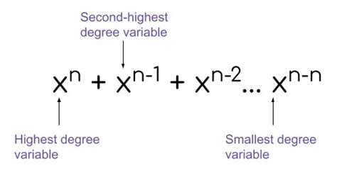 Polynomial Standard Form Calculator