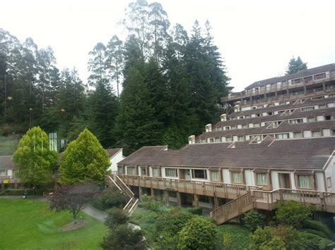 Humboldt State University - Dorms. | Arcata | Pinterest | Dorm, US ...