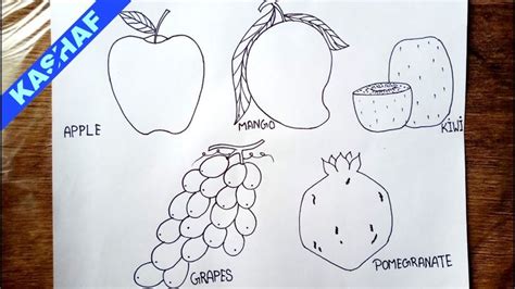 FIVE FRUITS DRAWING | APPLE, MANGO, KIWI, GRAPES & POMEGRANATE Drawing E... | Fruits drawing ...