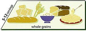 The Vegetarian Food Pyramid | Planning Healthy Meals