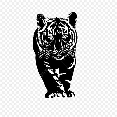 Tiger Silhouette PNG Images, Tiger Silhouettes, Ferocious, Silhouette, Clip Art PNG Image For ...