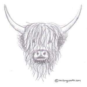 Highland Cow Drawing at PaintingValley.com | Explore collection of Highland Cow Drawing | Cow ...