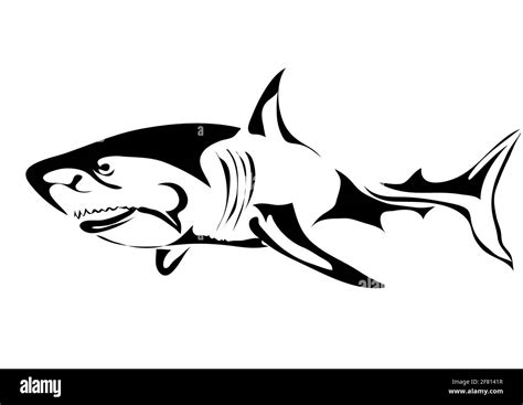 great white shark silhouette isolated on white background Stock Vector Image & Art - Alamy