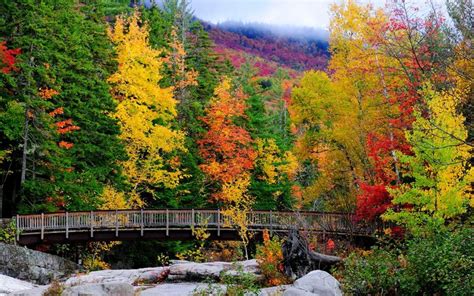 Beautiful fall colors | Autumn scenery, New hampshire, Places to see