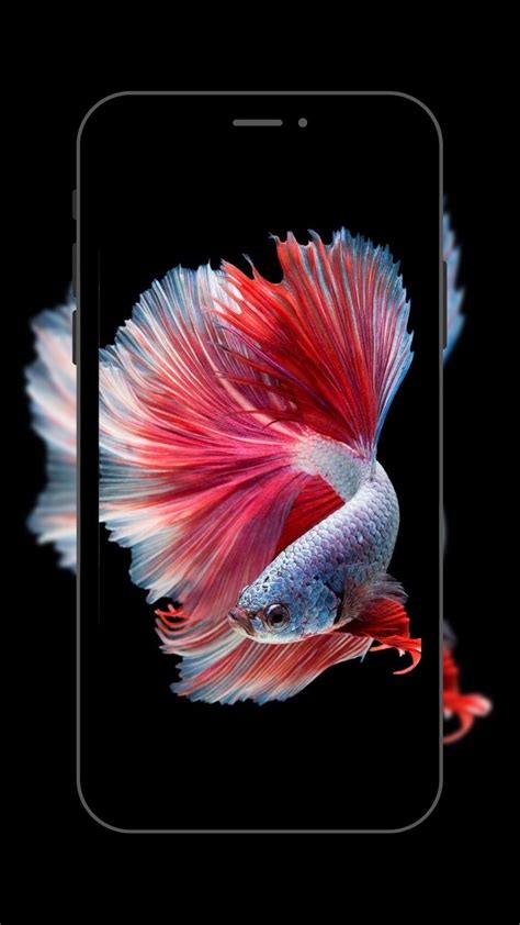 Aquarium Fish Live Wallpaper for Android - Download