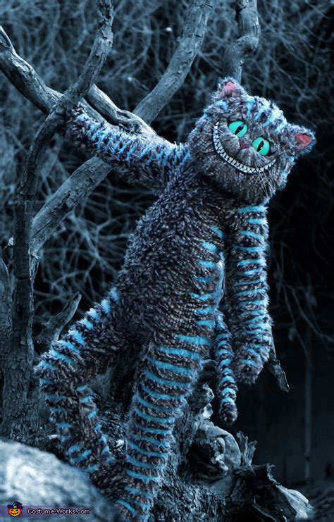 Tim Burton's Cheshire Cat Costume - Photo 3/3